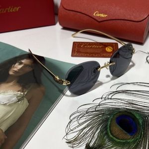 عینک cartier کدct1183
